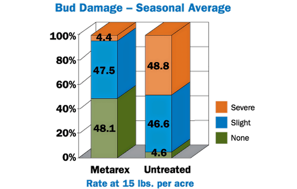 Bud Damage - Seasonal Average